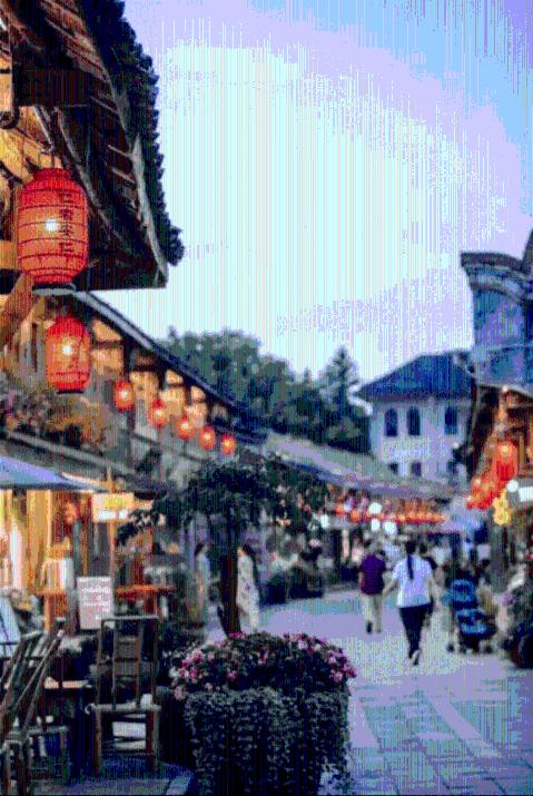 君子兰的养殖方法和注意事项是什么? - 一站式问答平台